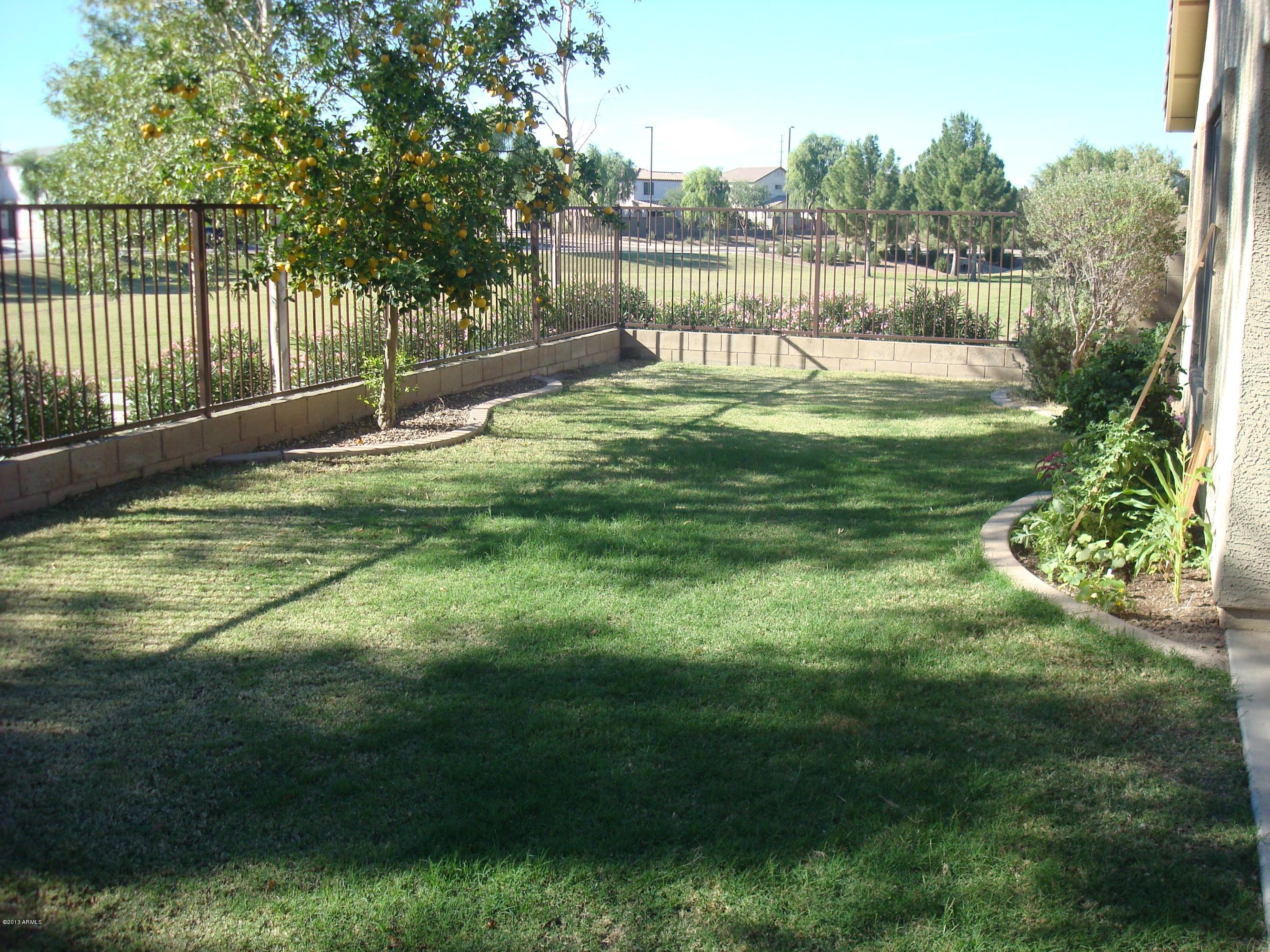 4182 South Sawmill Road Gilbert, AZ 85297 - Photo 12 of 18 back yard