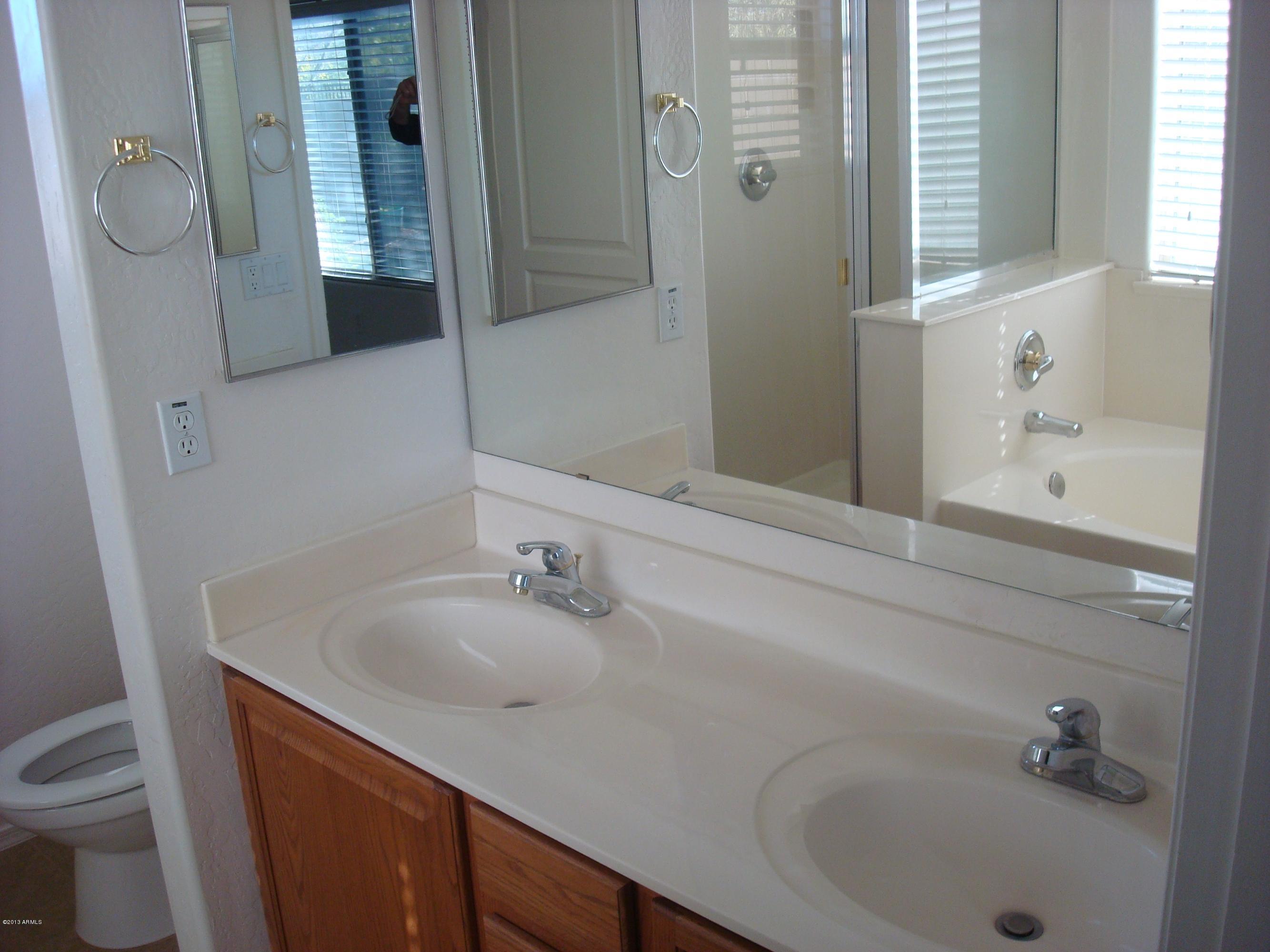 4182 South Sawmill Road Gilbert, AZ 85297 - Photo 8 of 18 bathroom
