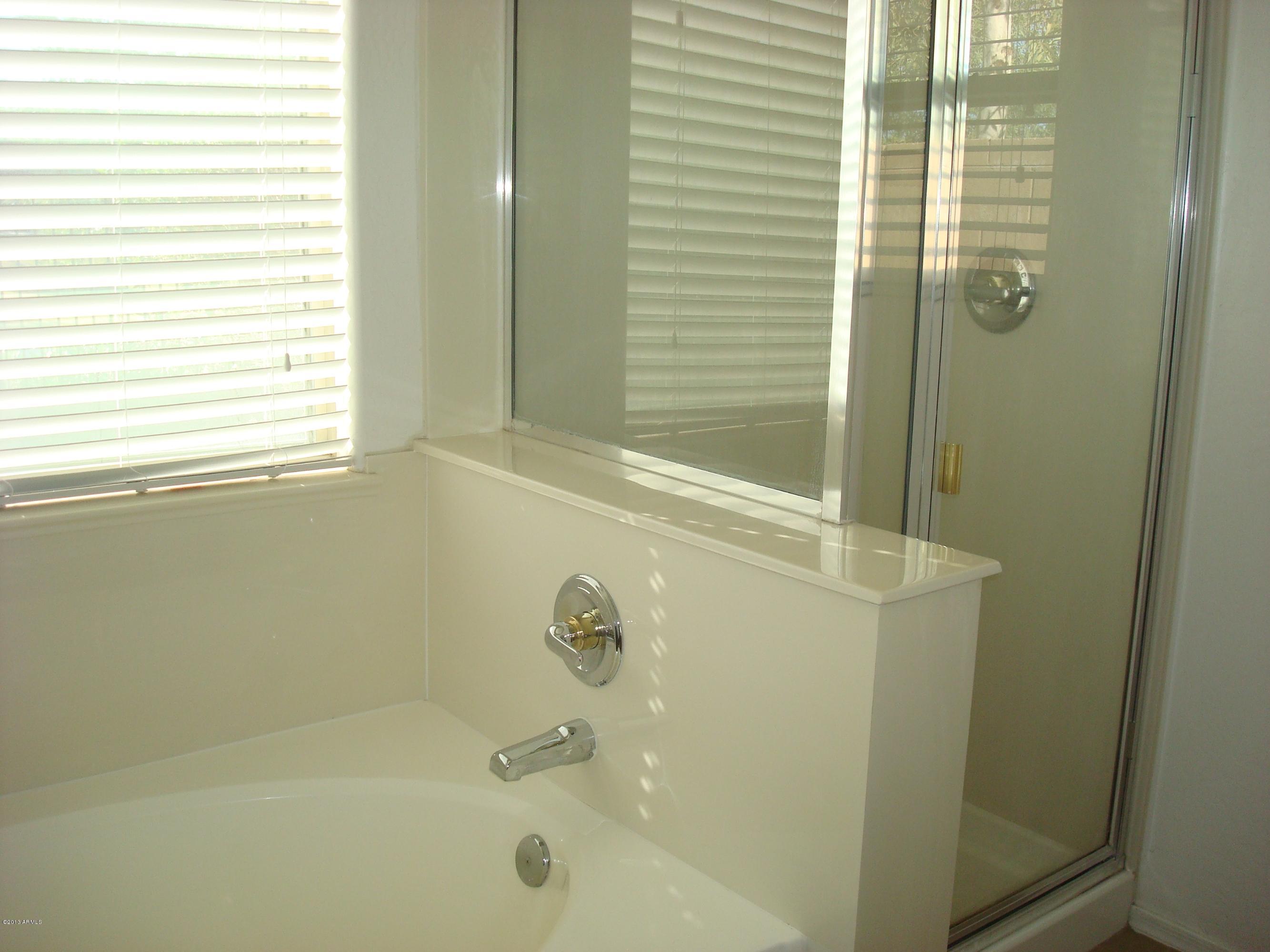 4182 South Sawmill Road Gilbert, AZ 85297 - Photo 9 of 18 bathroom