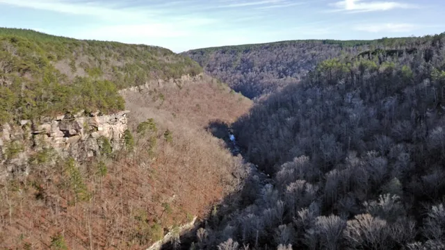 a view of a dry forest with mountains in background