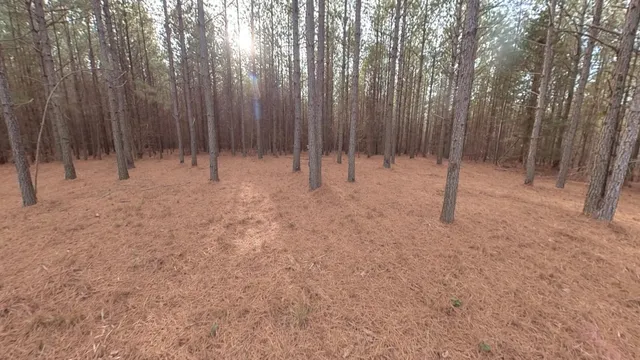 a view of a yard with an outdoor seating