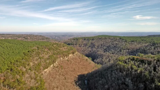 a view of a green field with lots of bushes