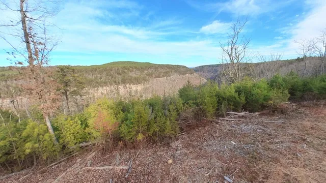 a view of a yard with an outdoor space