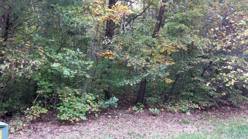 4400 Broad St Road Gum Spring, VA 23065 - Photo 3 of 5