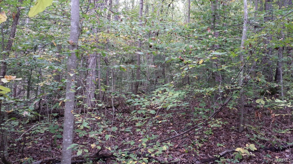 4400 Broad St Road Gum Spring, VA 23065 - Photo 4 of 5