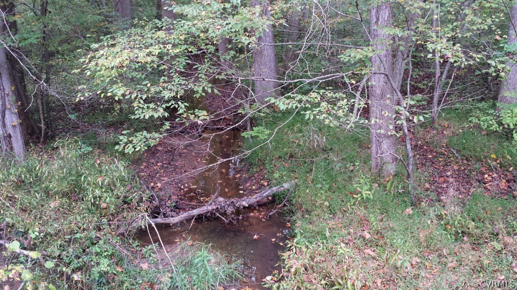 4400 Broad St Road Gum Spring, VA 23065 - Photo 5 of 5