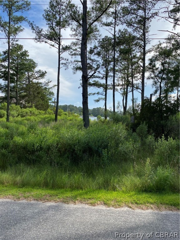 Lot 7 Horse Road Hayes, VA 23072 - Photo 4 of 11