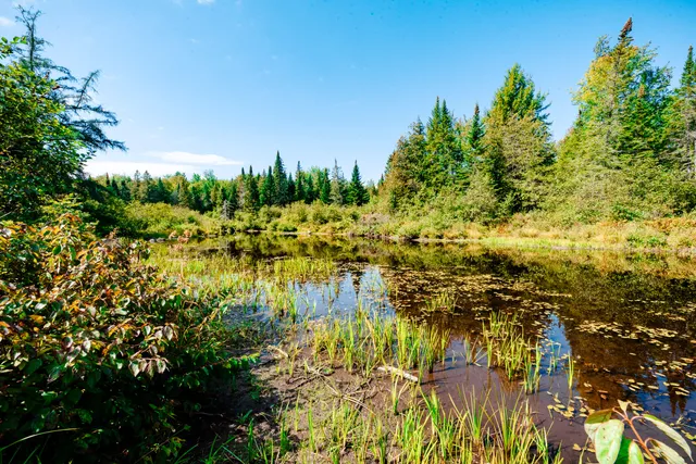 $343,900 | 273 Lemon Stream Road, New Portland, ME 04961