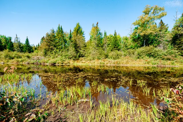 $343,900 | 273 Lemon Stream Road, New Portland, ME 04961