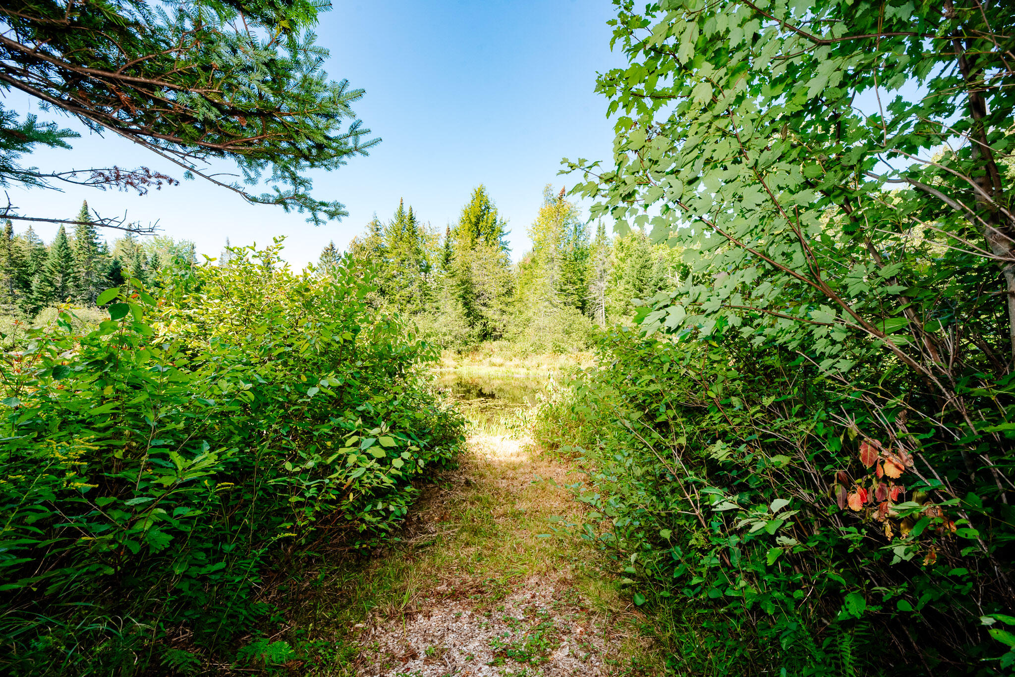 273 Lemon Stream Road New Portland, ME 04961 - Photo 10 of 51 273 Lemon Stream Road