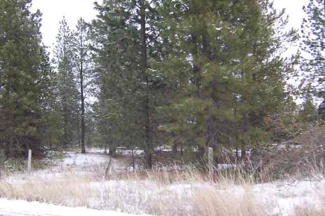 0 North Felspar Road Deer Park, WA 99006 - Photo 4 of 4 Gallery Image 4