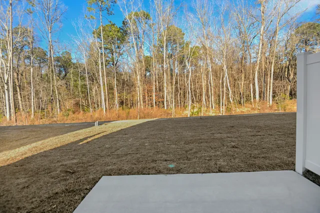 $2,400 | 7926 Triggerfish Way, Charleston, SC 29420