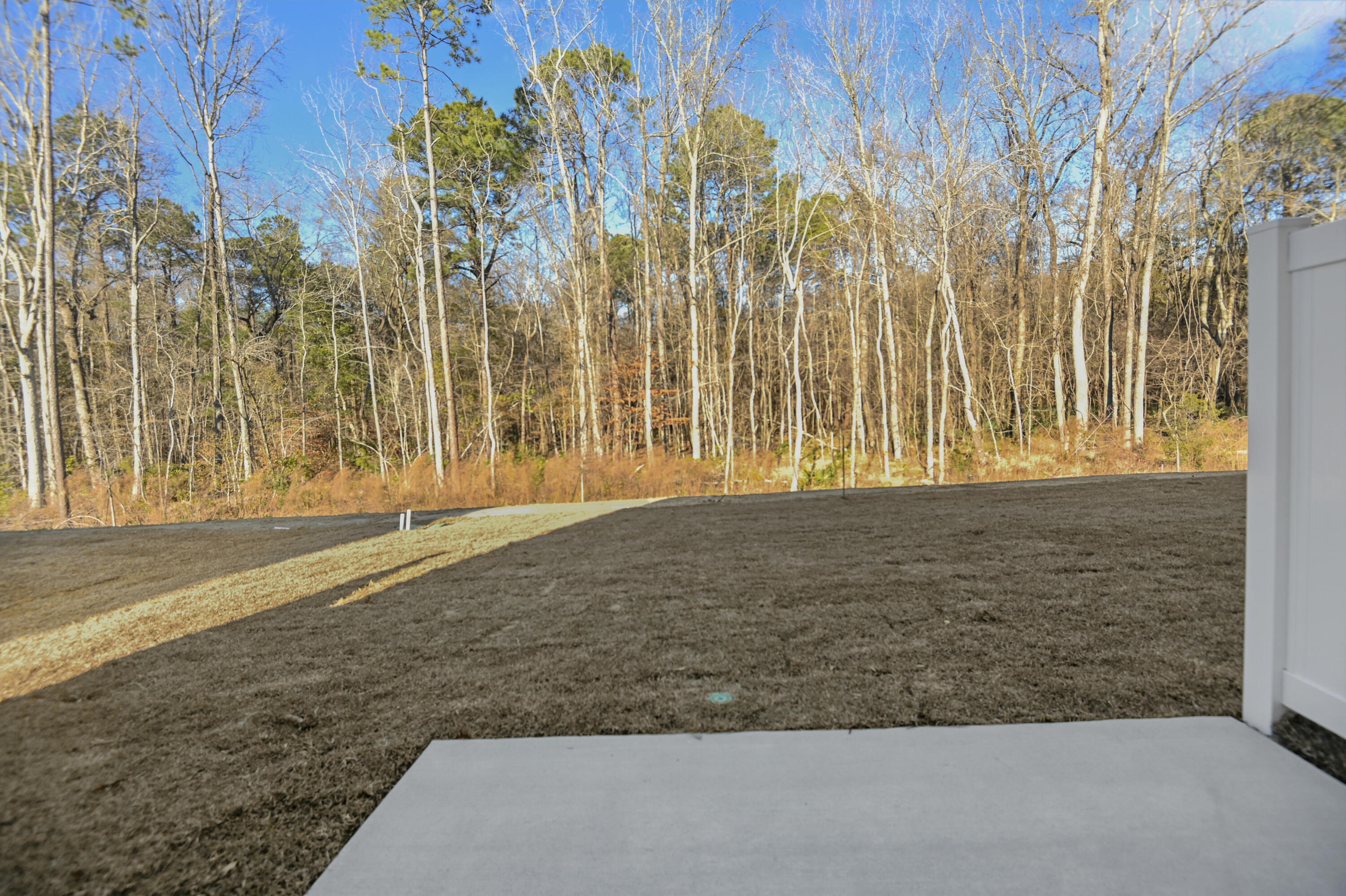 7926 Triggerfish Way Charleston, SC 29420 - Photo 4 of 28 _DSC4290