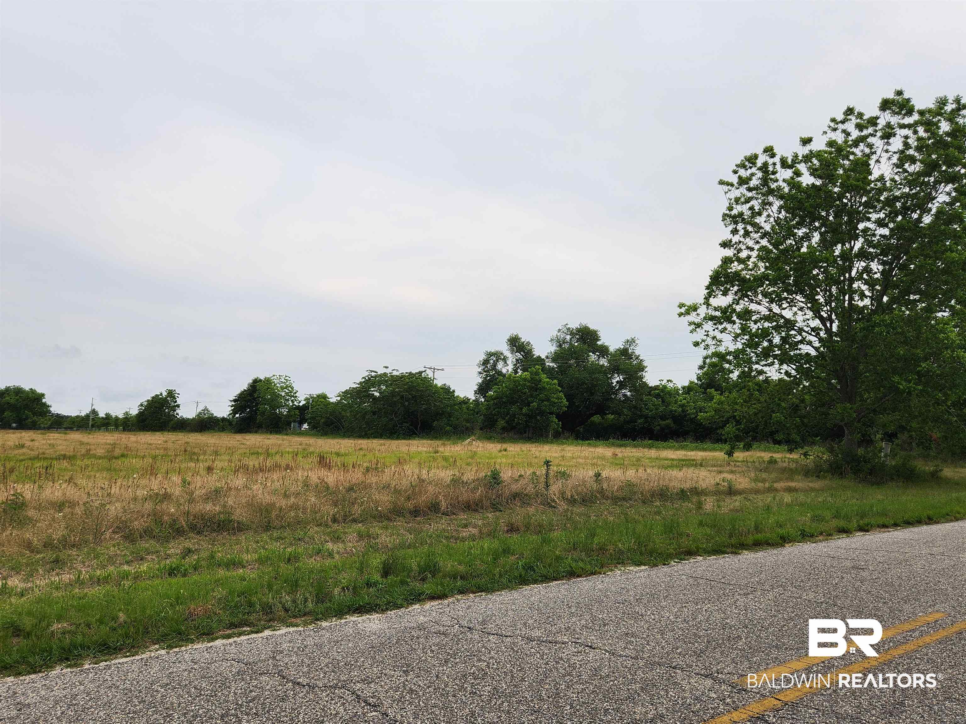 0 County Road 10 Foley, AL 36535 - Photo 4 of 6