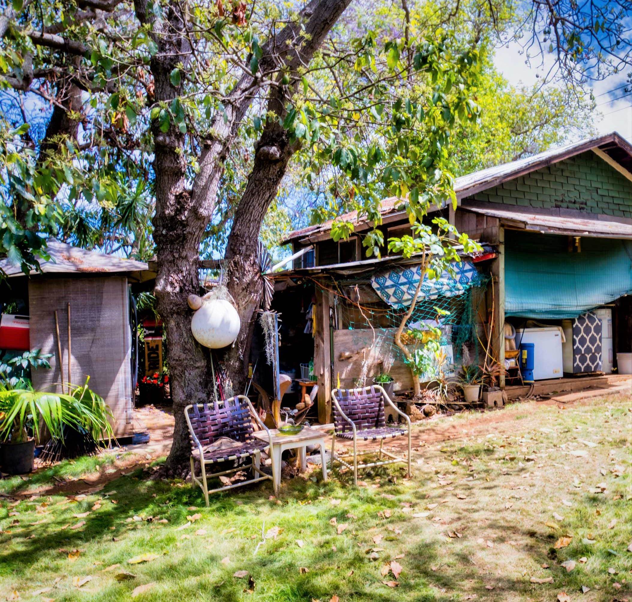 3050 Lower Kula Road Kula, HI 96790 - Photo 11 of 23 a view of a chairs and table in a backyard