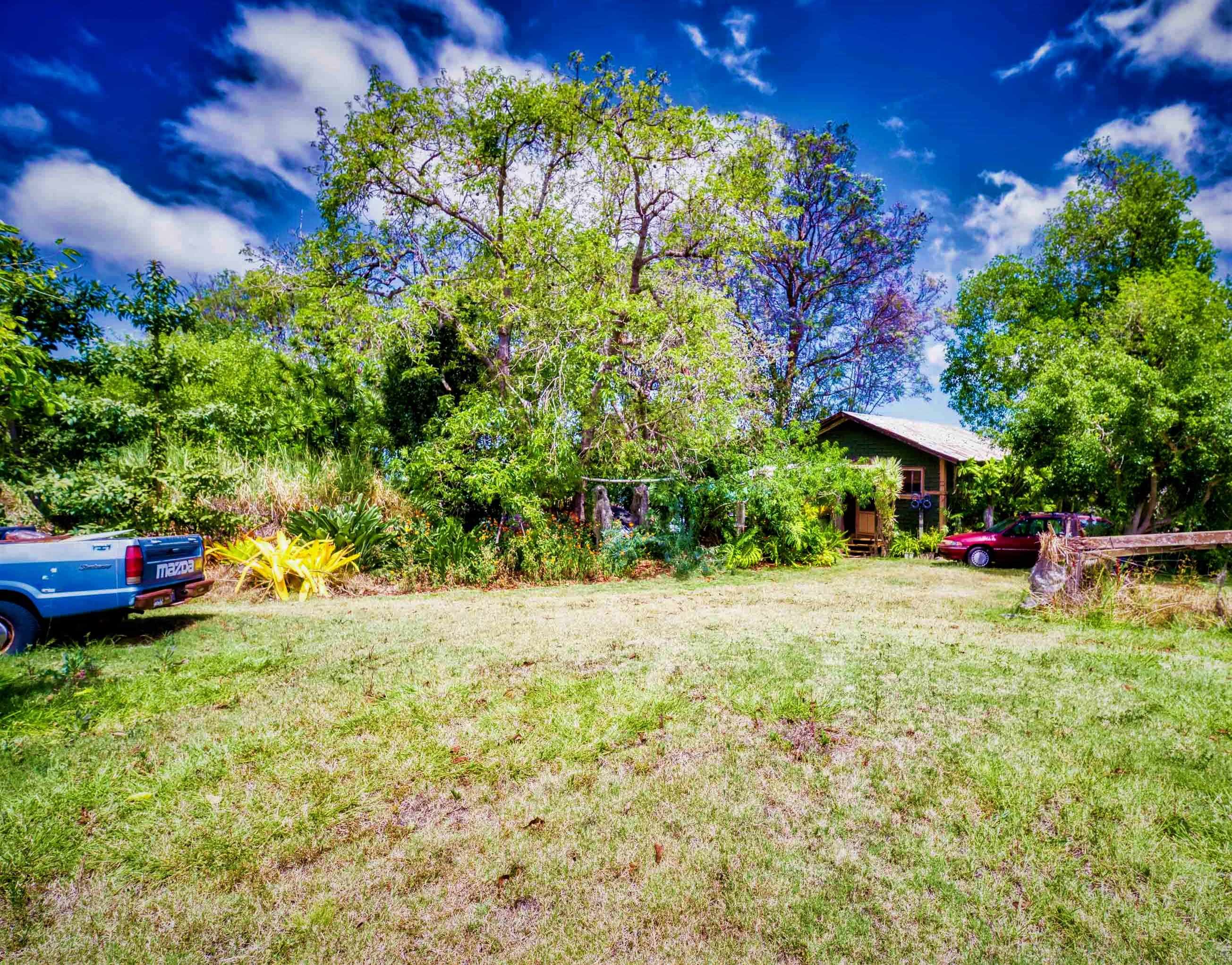 3050 Lower Kula Road Kula, HI 96790 - Photo 7 of 23 a view of a backyard with plants and a garden