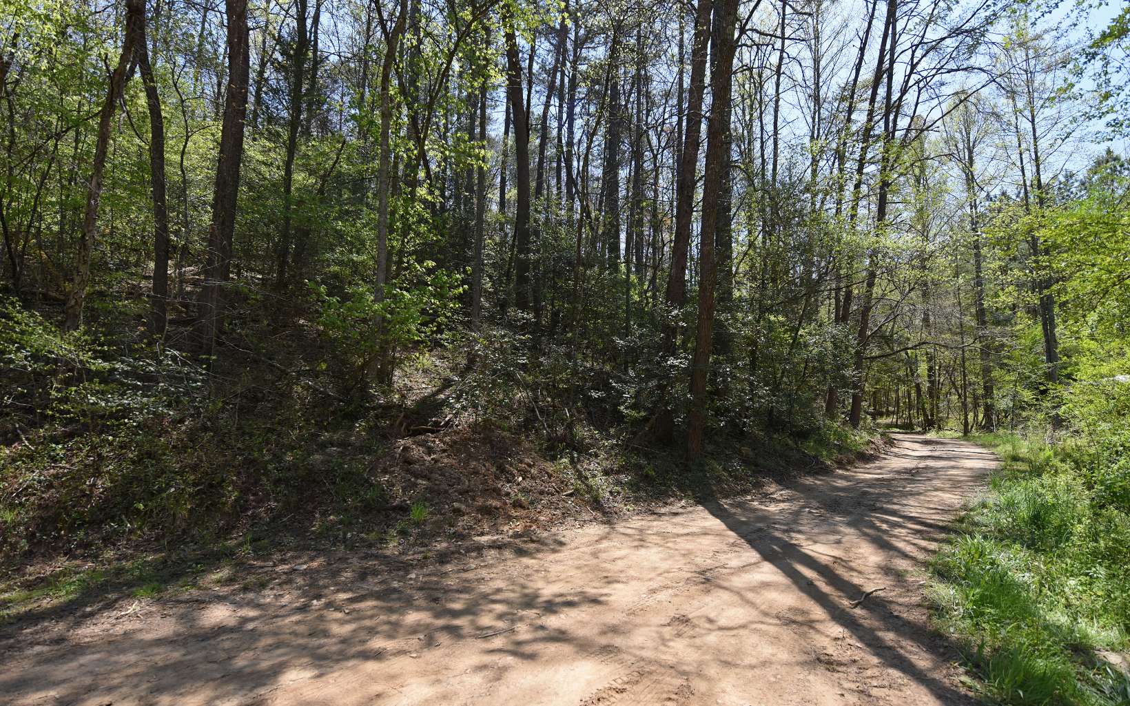 2 Lonesome Dove Trail Blue Ridge, GA 30513 - Photo 15 of 25 Additional View