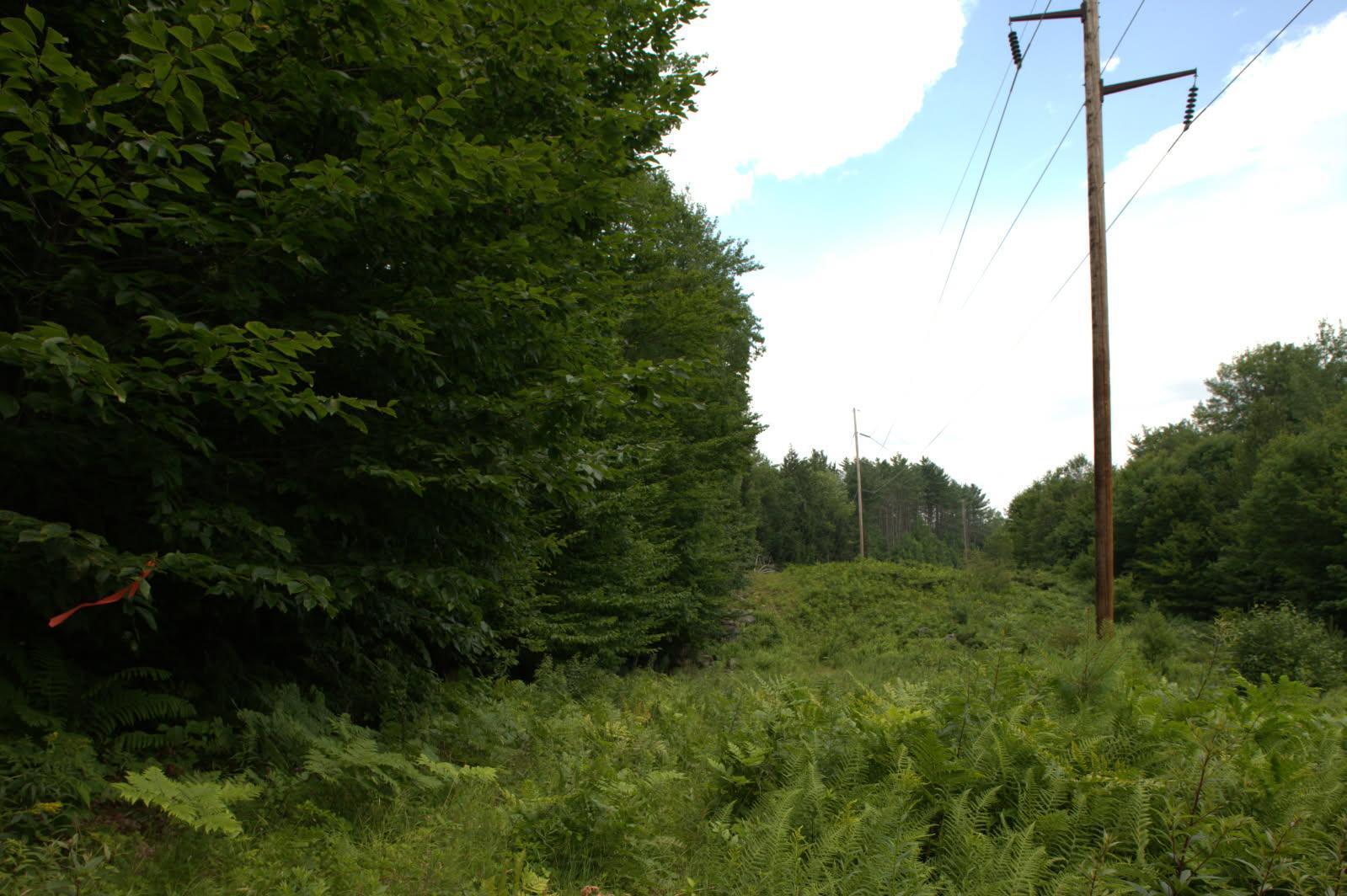 0409 red ribbon approx