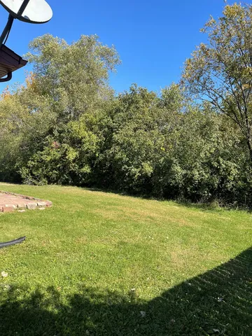 a view of an ocean from a yard