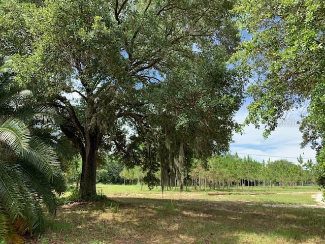 13834 Max Hooks Road Clermont, FL 34711 - Photo 1 of 1 Gallery Image 1