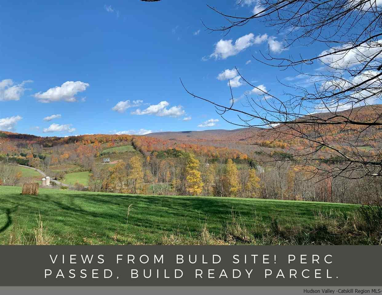 Tbd Howard Greene Road Denver, NY 12421 - Photo 1 of 24 Photo 1
