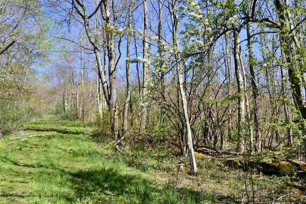 Tbd Howard Greene Road Denver, NY 12421 - Photo 13 of 24 Photo 13