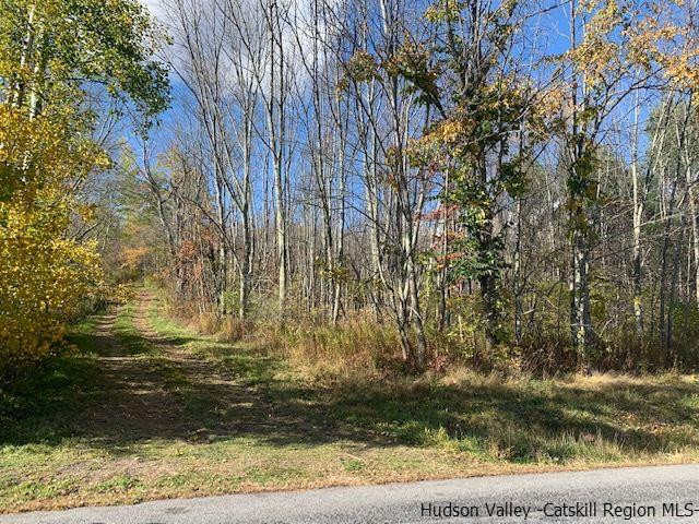 Tbd Howard Greene Road Denver, NY 12421 - Photo 14 of 24 Photo 14