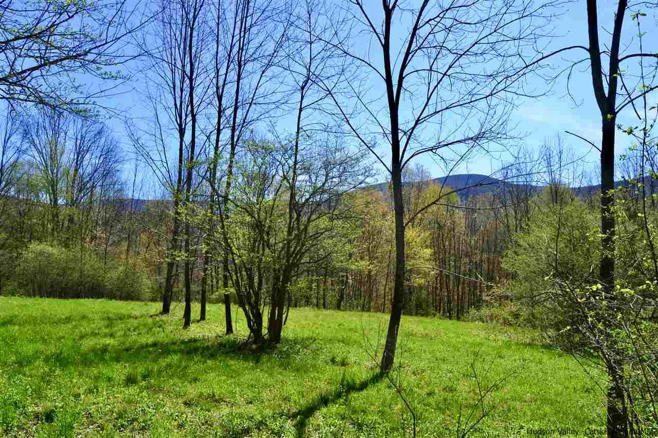 Tbd Howard Greene Road Denver, NY 12421 - Photo 16 of 24 Photo 16