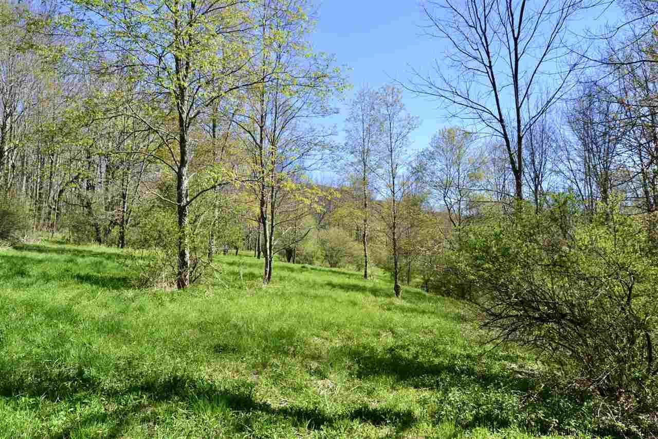 Tbd Howard Greene Road Denver, NY 12421 - Photo 17 of 24 Photo 21
