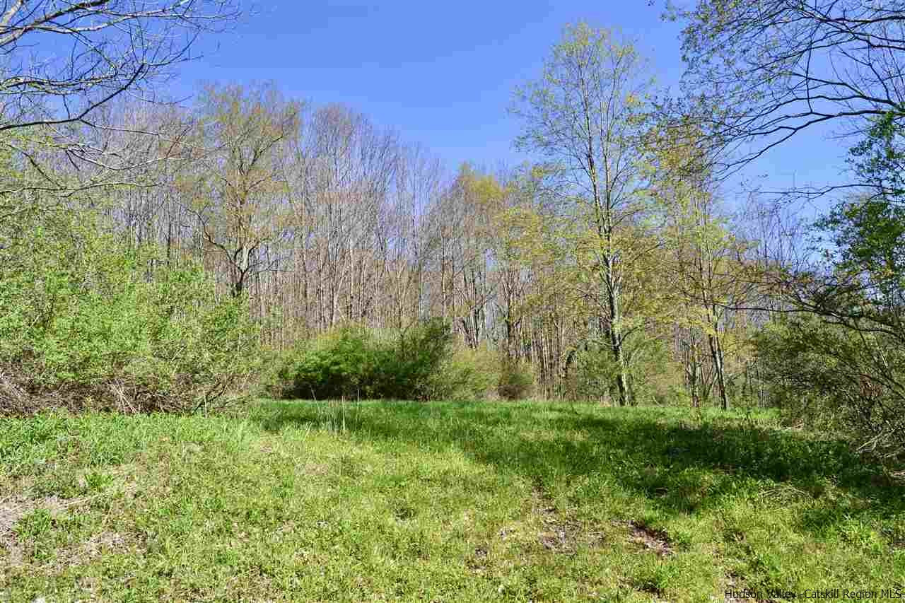 Tbd Howard Greene Road Denver, NY 12421 - Photo 18 of 24 Photo 25