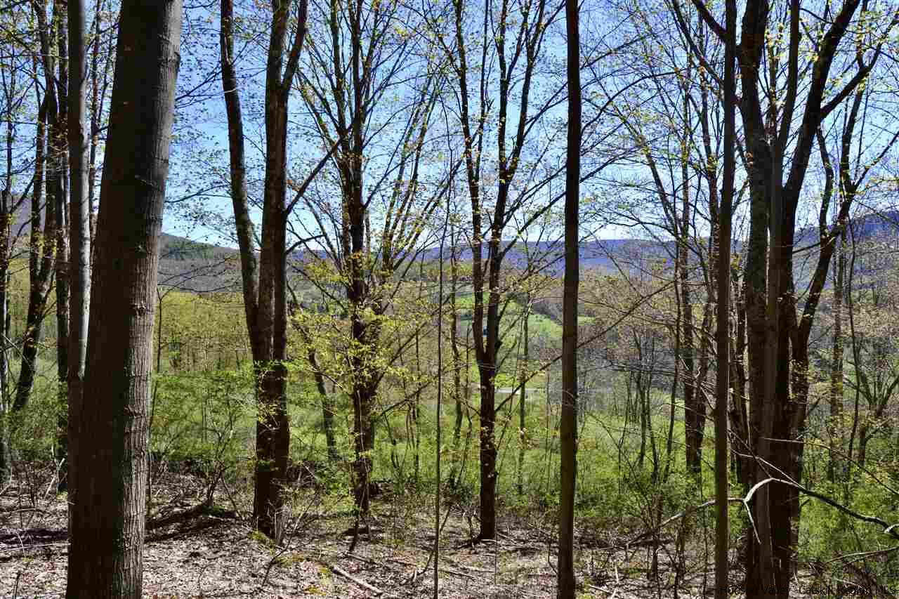 Tbd Howard Greene Road Denver, NY 12421 - Photo 19 of 24 Photo 26