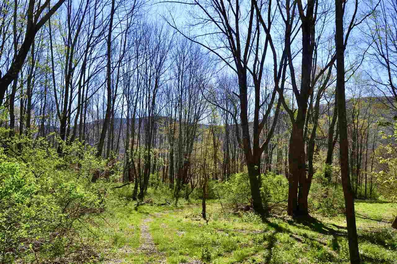 Tbd Howard Greene Road Denver, NY 12421 - Photo 23 of 24 Photo 33