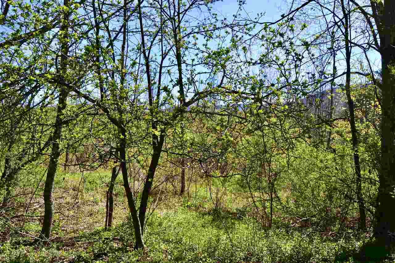Tbd Howard Greene Road Denver, NY 12421 - Photo 24 of 24 Photo 35