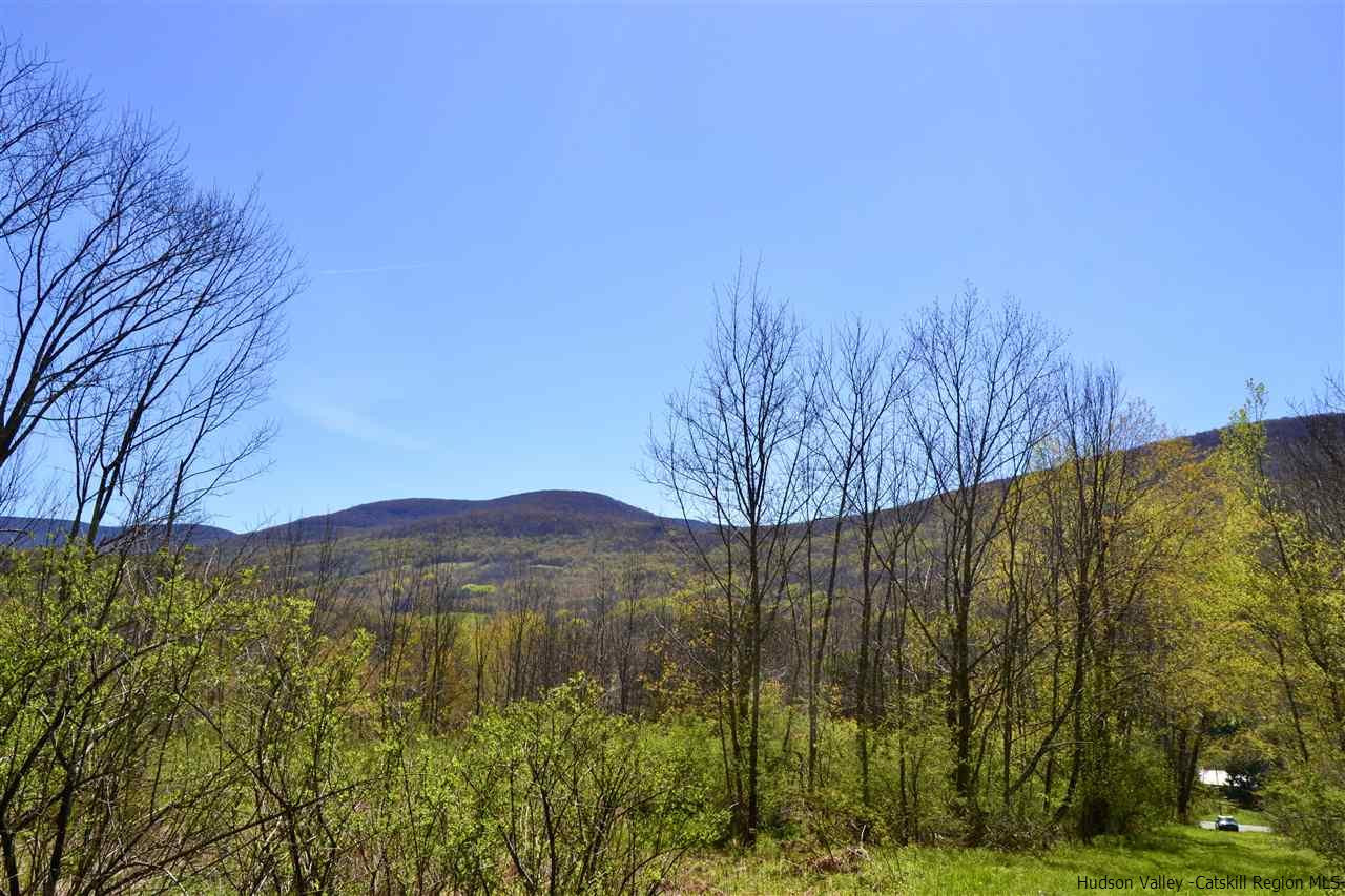 Tbd Howard Greene Road Denver, NY 12421 - Photo 3 of 24 Photo 3