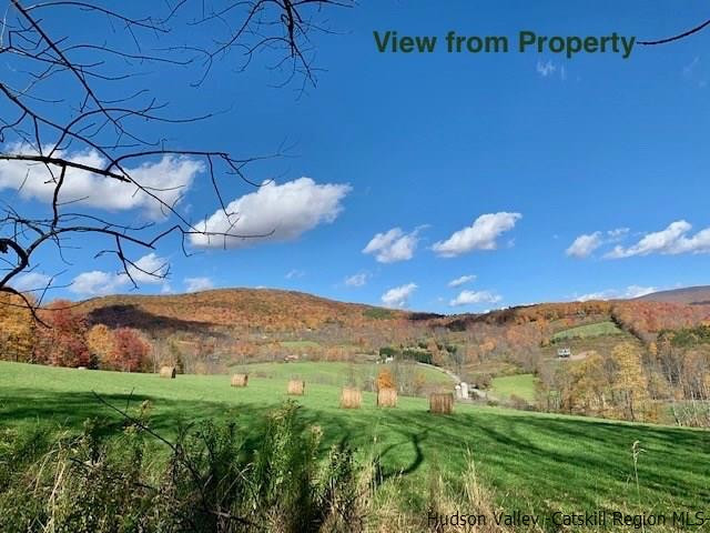 Tbd Howard Greene Road Denver, NY 12421 - Photo 6 of 24 Photo 6