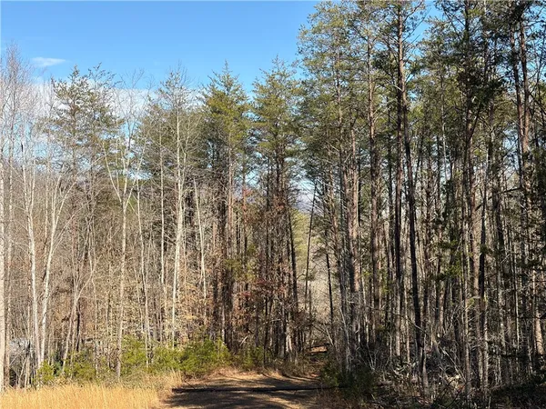 $74,900 | 262 Blue Sky Drive, Sunset, SC 29685