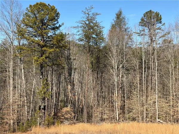 $74,900 | 262 Blue Sky Drive, Sunset, SC 29685