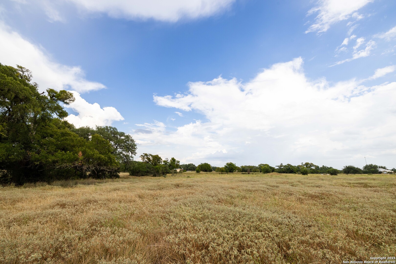 362 Coneflower Drive Spring Branch, TX 78070 - Photo 38 of 50