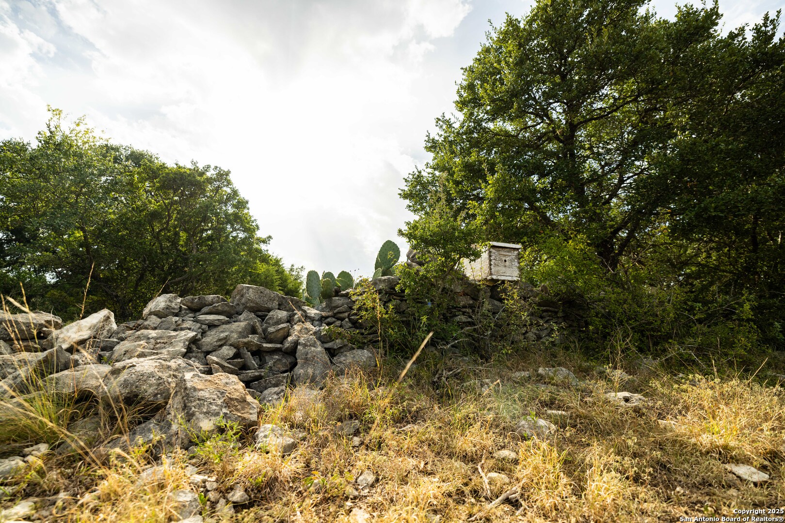 362 Coneflower Drive Spring Branch, TX 78070 - Photo 50 of 50