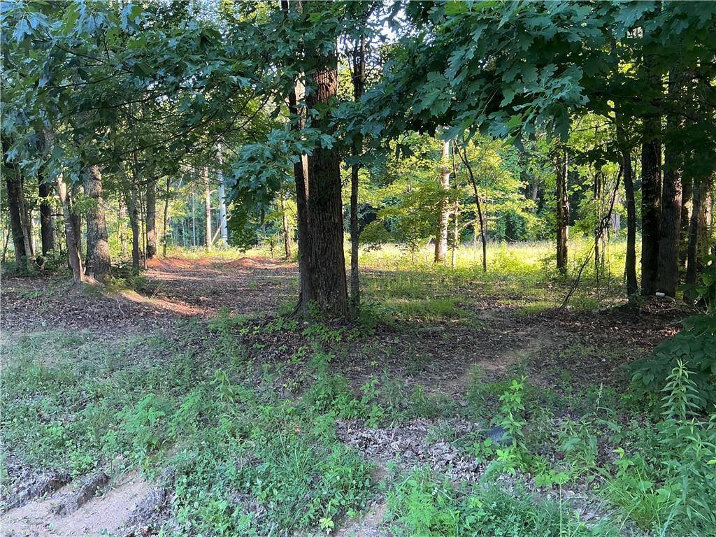 703 Central High Road Carrollton, GA 30116 - Photo 8 of 27
