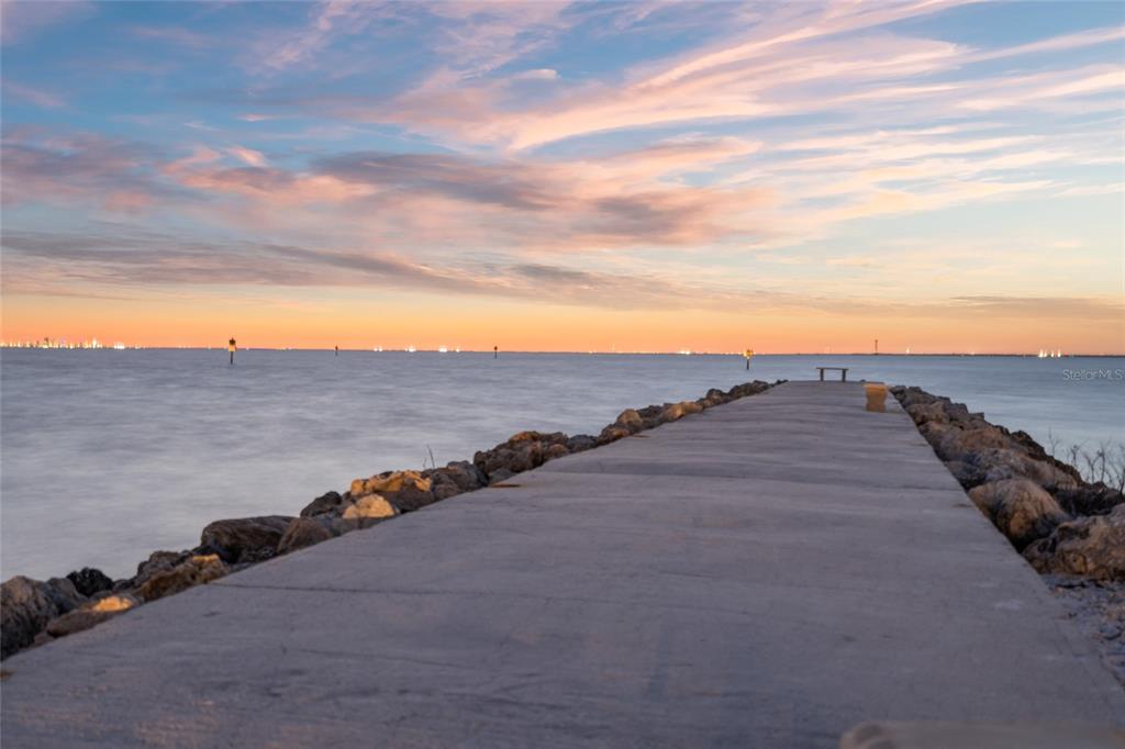 6315 Marbella Boulevard Apollo Beach, FL 33572 - Photo 82 of 83