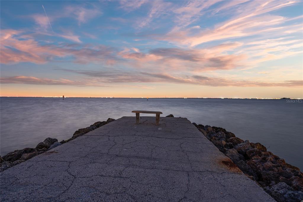 6315 Marbella Boulevard Apollo Beach, FL 33572 - Photo 83 of 83