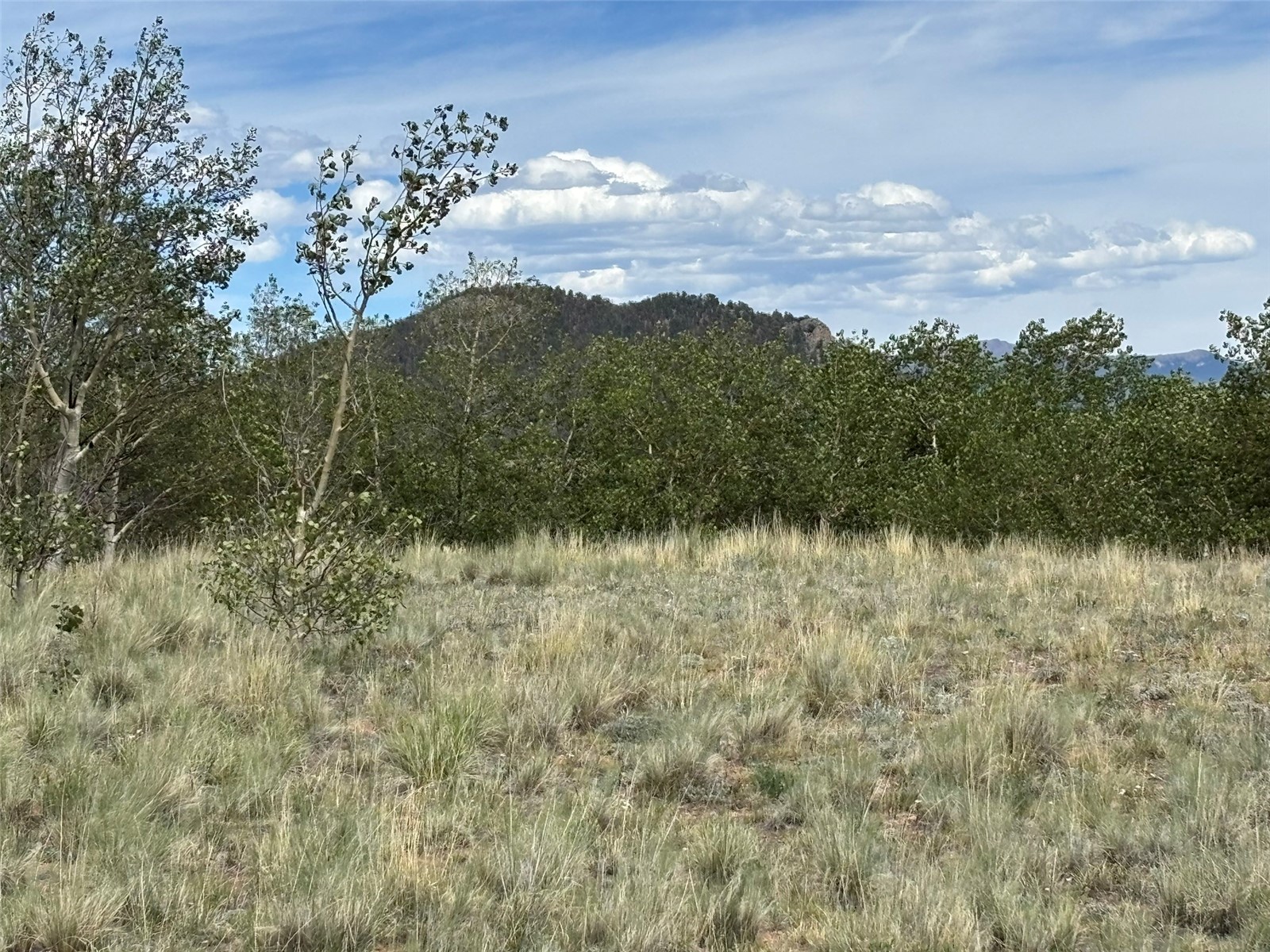 135 Hawk Way Como, CO 80432 - Photo 17 of 22 a view of a lake in middle of forest