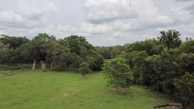 a view of a lake with houses in the background