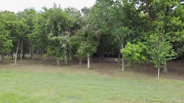 a view of outdoor space with trees
