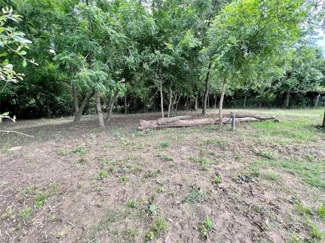 a view of a bird bath