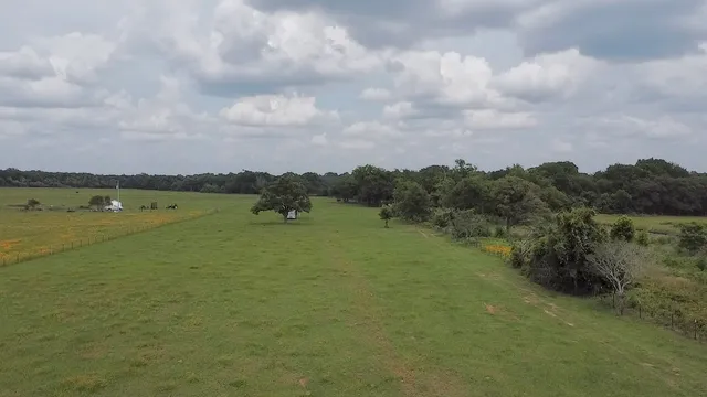 a garden view with a lake