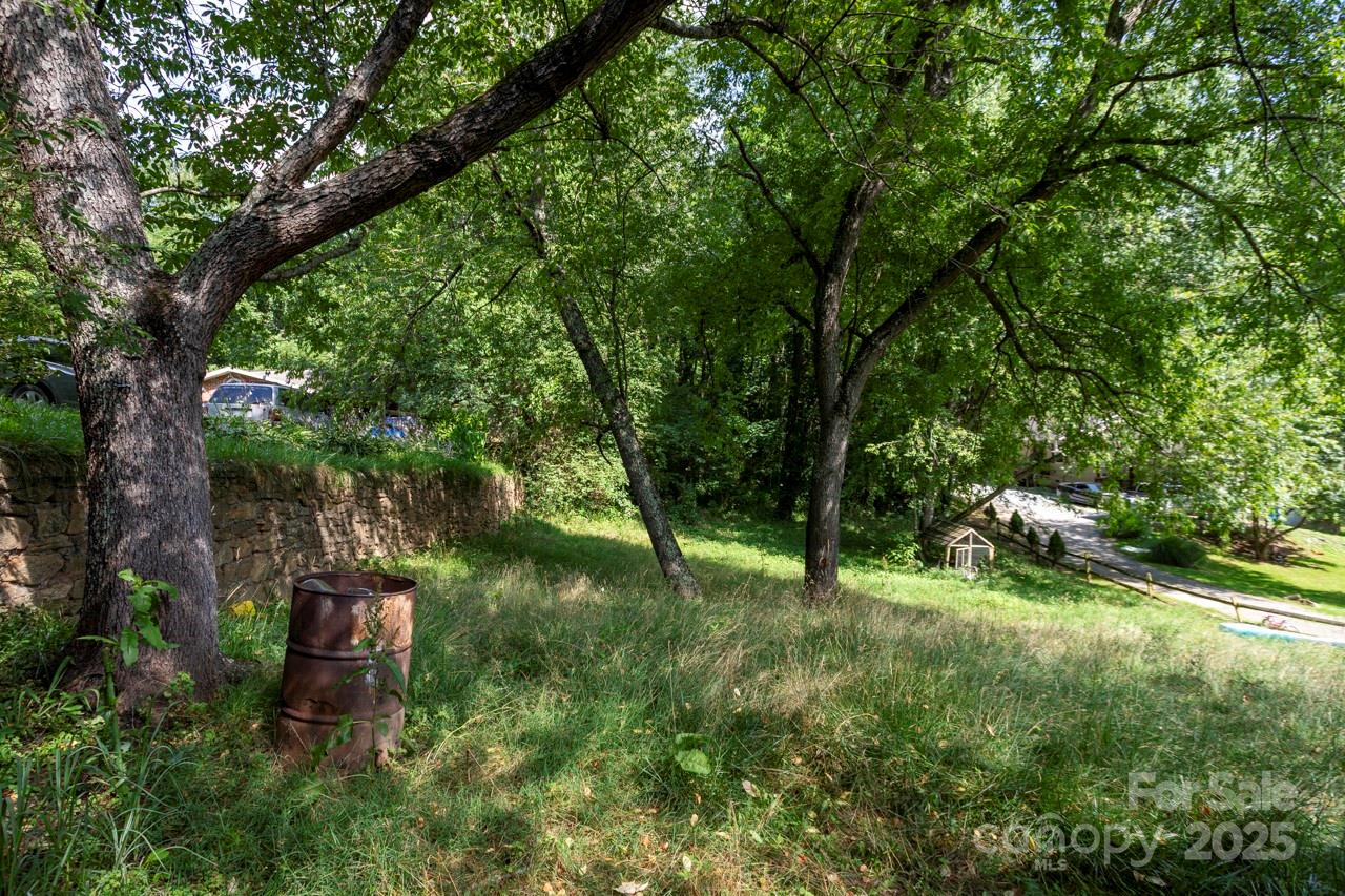 401 Ray Street Waynesville, NC 28786 - Photo 8 of 10 a big yard with lots of green space and deers