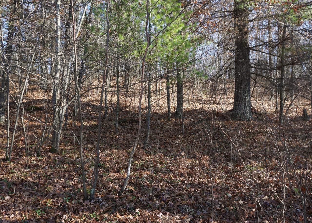 Lot 3 Sheep Ranch Road Rhinelander, WI 54501 - Photo 8 of 11 Gallery Image 8