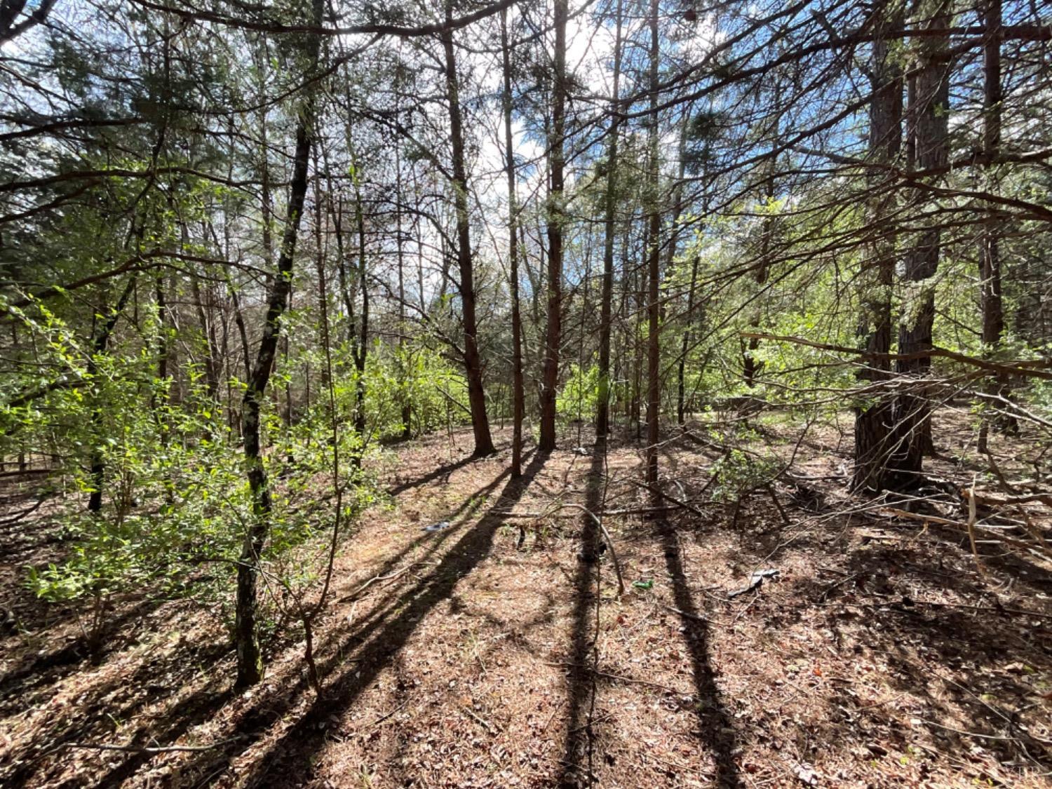 2 Falling Creek Road Bedford, VA 24523 - Photo 1 of 7 Wooded Area on Lot 2